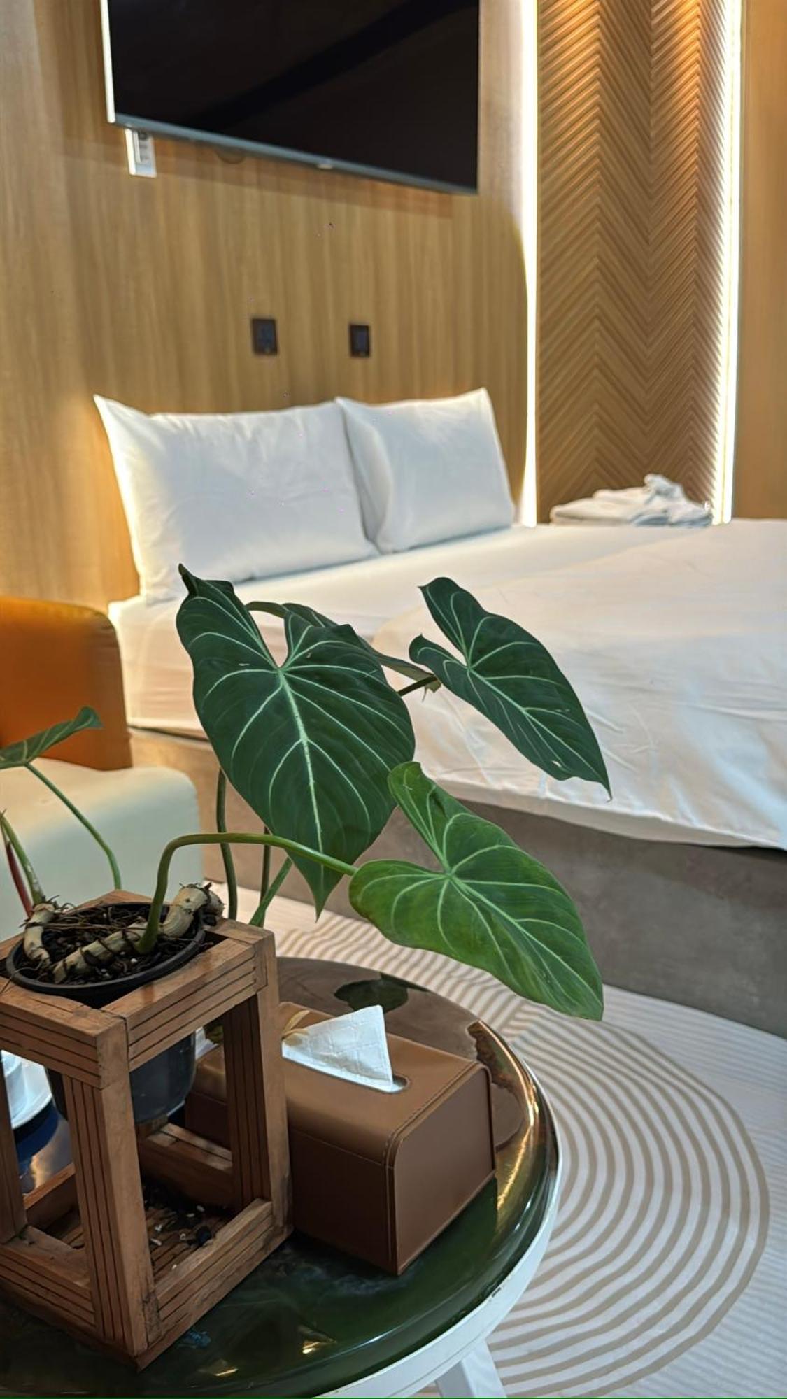 La Garden Homestay Long Xuyên Zewnętrze zdjęcie